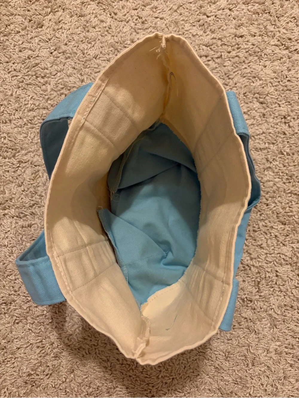 Trader Joe's Mini Pastel Tote Bag - New/Excellent Condition